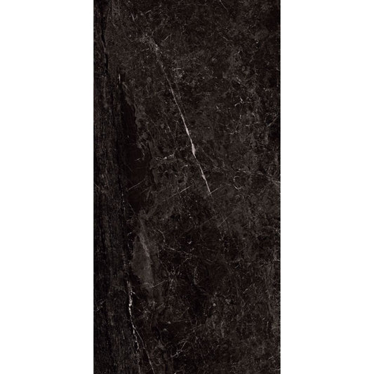 Dark marble tile with visible veins on a white background