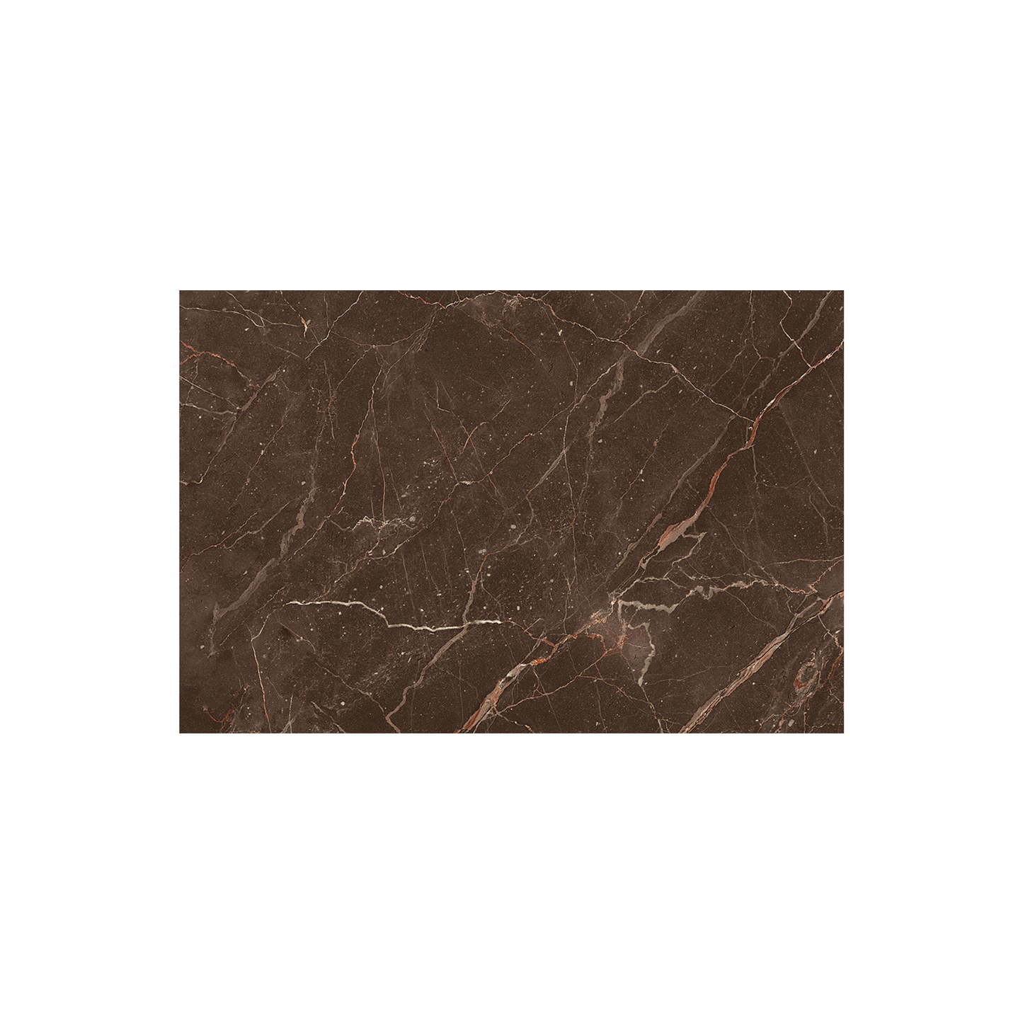 Chocolate Brown Gloss Ceramic Wall Tile 300x450mm – Bathroom and Kitchen Tile